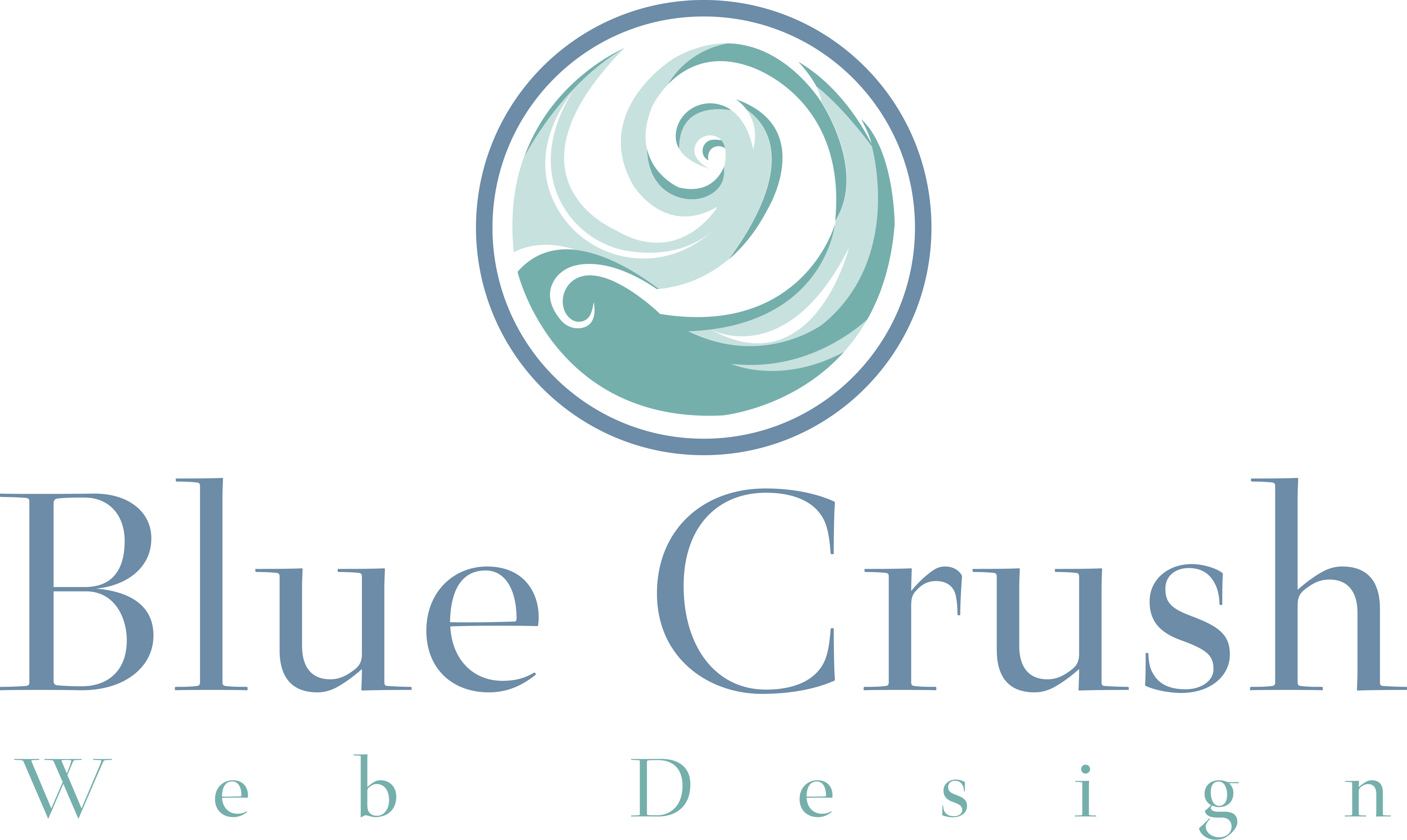 Blue Crush Web Design